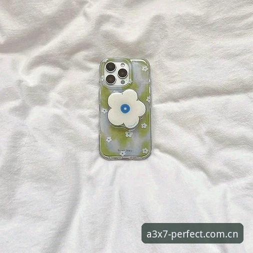 完美体育A3X7下载全流程经验分享：新手从零上手的使用心得